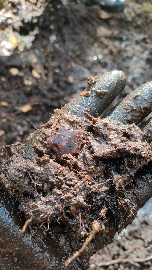 Вести с полей — 2025