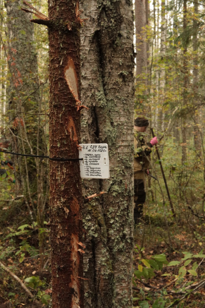 Вести с полей — 2025