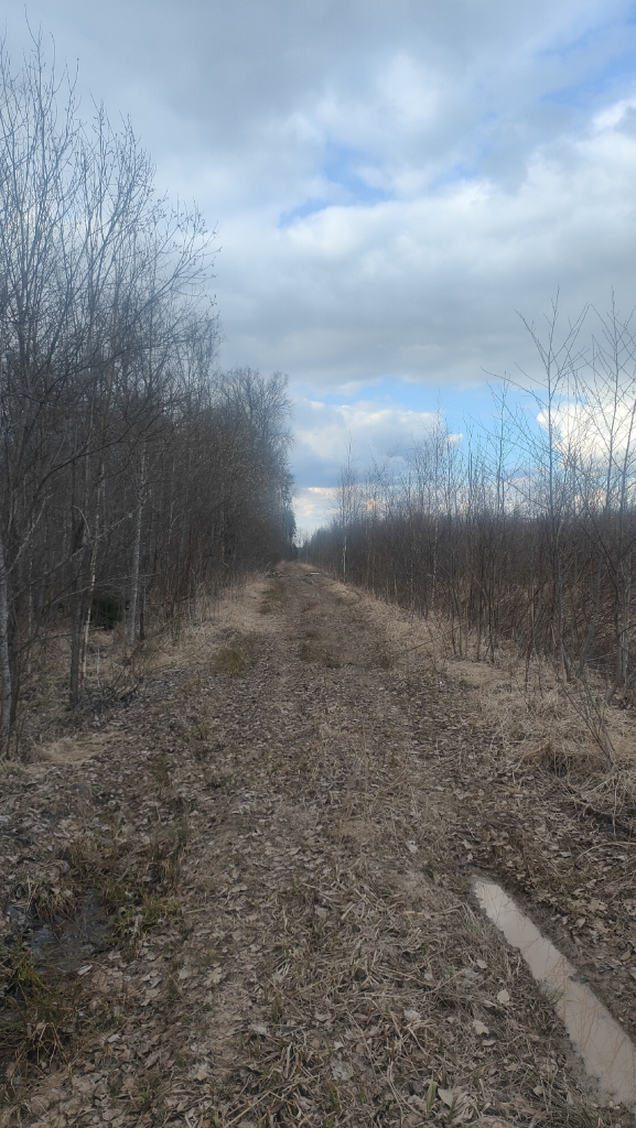 Вести с полей — весна 2026